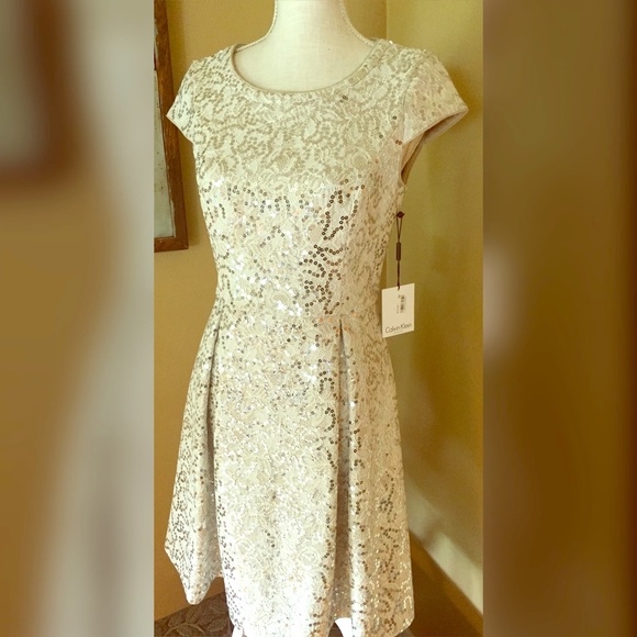 NWT Calvin Klein Sequin Ivory Lace Sheath Dress 6 - Picture 3 of 9